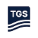 Toogood Gold Corp. logo