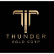 Thunder Gold Corp. logo