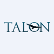 Talon Metals Corp logo