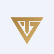 Tonogold Resources Inc. logo