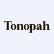 Tonopah Divide Mining Company logo