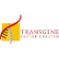 Transgene Biotek Ltd. logo