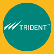 Trident Ltd. logo