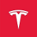 Tesla Inc. Depositary Receipt logo