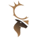 Tuktu Resources Ltd logo