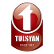 Tulsyan NEC Ltd. logo