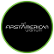 North American Niobium and Critical Minerals Corp. logo