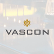 Vascon Engineers Ltd. logo
