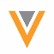 Veeva Systems Inc. logo