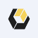 Vior Inc. logo