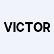 Victor Mining Industry Group Inc. logo