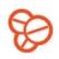 Vioquest Pharmaceuticals Inc. logo