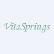 Vitaspring Biomedical Co., Ltd. logo