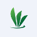 Replenish Nutrients Holding Inc. logo