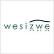 Wesizwe Platinum Ltd. logo