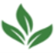 Warren Tea Ltd. logo