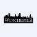 Winchester Holding Group logo