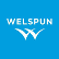 Welspun Enterprises Ltd. logo