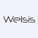 Welsis Corp logo