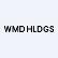 Wmd Holdings Group Inc. logo