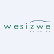 Wesizwe Platinum Ltd. logo