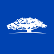 WisdomTree Artificial Intelligence and Innovation Fund logo