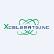 Xcelerate Inc. logo