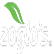Zoglo's Food Corp. logo